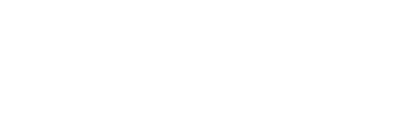 Being Optimizers-logo